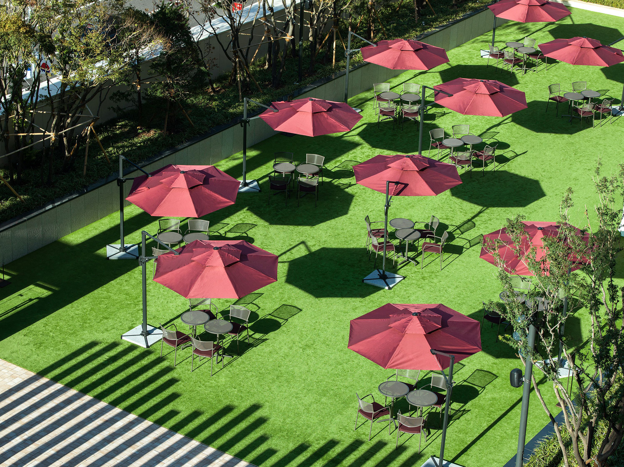 MAPLEGARDEN-1